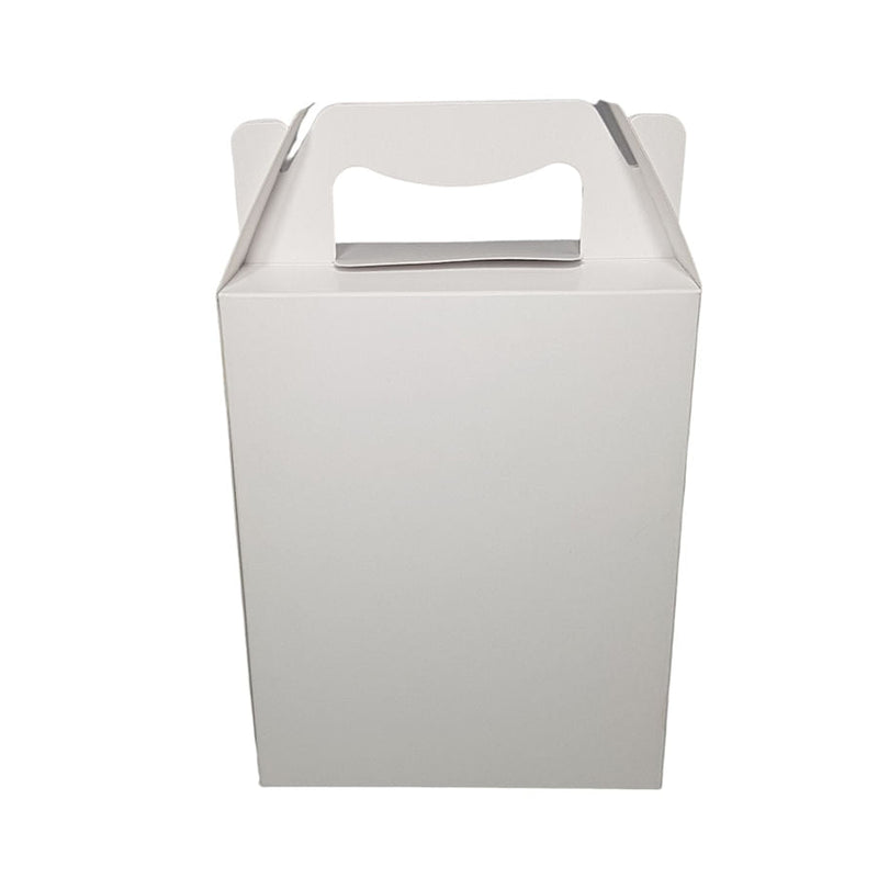 Sacolinha S3 Branca 18X16X6CM 10 Unidades ASSK